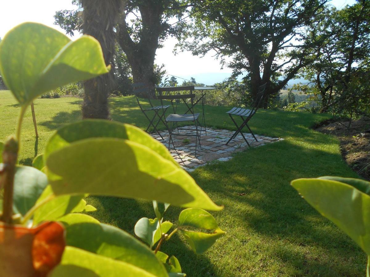 Maison D'Hotes Les Palmiers Gluiras ภายนอก รูปภาพ