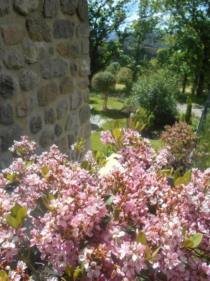 Maison D'Hotes Les Palmiers Gluiras ภายนอก รูปภาพ